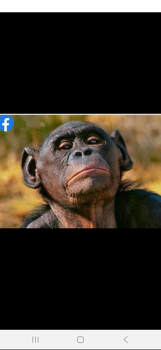 O fitlhe pregnancy pila basa bone nex, o bone ole osa kgoneng go itsenyetsa airtime ago sheba so:.. kere di scanner tsa nnete <a href="/bozzie_t/">Malume</a> <a href="/Sentletse/">Sentletse 🇿🇦🇷🇺🇵🇸🇱🇧</a> <a href="/LeboPhokela/">Lebohang Phokela</a> <a href="/sollypoo/">sollypoo</a> <a href="/MsKhanye_/">VIRGOAT💎🌈</a> 😂😂