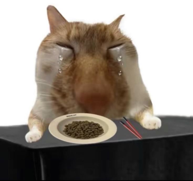 임카간 모든 분들
부러워서 죽을 것 같아………………