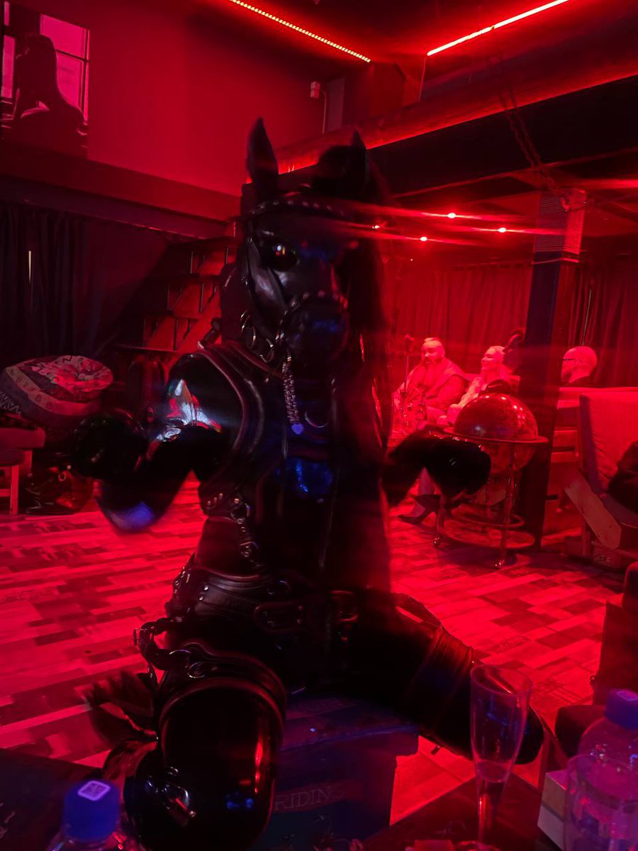 Shiny Pony tweet media