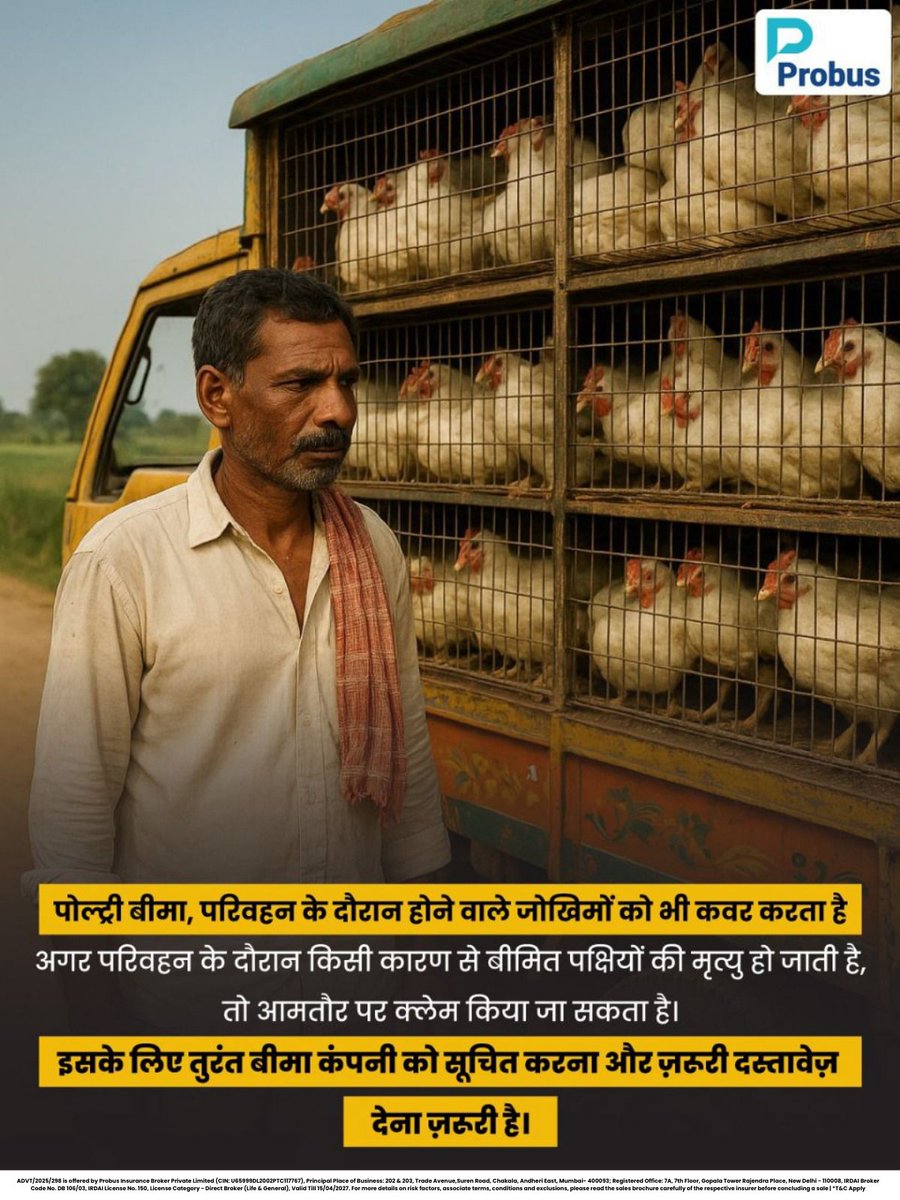 ProbusInsurance's tweet image. पशुपालकों की मेहनत सिर्फ़ फ़ार्म तक ही सीमित नहीं, बल्कि हर सफ़र से जुड़ी होती है। 🐓🚛

👉इसीलिए पोल्ट्री बीमा परिवहन के दौरान होने वाले जोखिमों को भी कवर करता है - ताकि अचानक होने वाले नुक़सान से रोज़गार और उम्मीदें न डगमगाएँ। 🛡️✨

#farmersfirst #withprobus