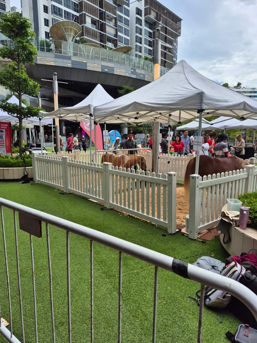 There are umas near my workplace