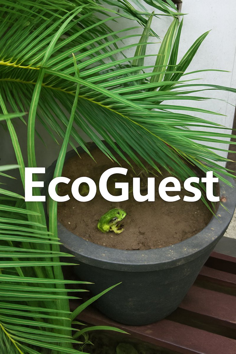 pawanjoshimoga's tweet image. When nature visits your home 🐸🌿
Even a small pot becomes a mini jungle!
#Nature #EcoBalance #GreenLife @earthcurated @MrBeast