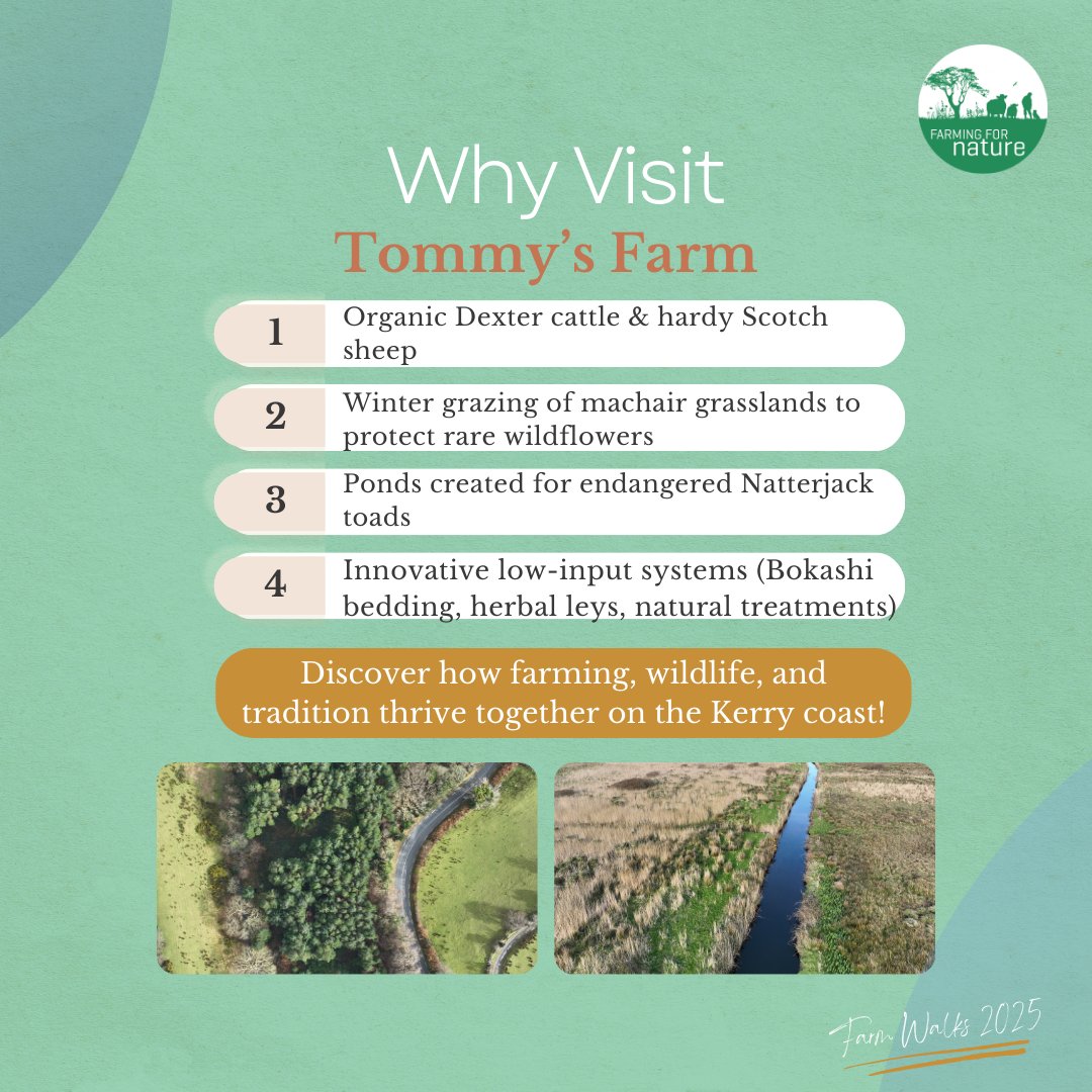 farmfornature's tweet image. 🌿 Tommy Reidy – Organic Beef &amp;amp; Sheep Farm (Co. Clare)
Dexter cattle, Scotch sheep, wildflower meadows, wetlands &amp;amp; endangered Natterjack toads 🐂🌱🐸

Discover low-input organic farming where biodiversity thrives.
🎟️ €12 → f.mtr.cool/fvyuzulvao

#FarmWalks2025