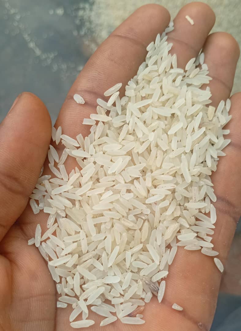 My Journey Into Rice and Food Security

I never planned to sell rice, but One experience during #nysc in Ebonyi state- the rice capital of Nigeria changed the course of my life.

In Ebonyi, I saw how essential rice is to every Nigeria home, yet how unstable