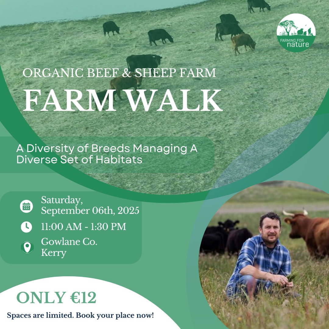 farmfornature's tweet image. 🌿 Tommy Reidy – Organic Beef &amp;amp; Sheep Farm (Co. Clare)
Dexter cattle, Scotch sheep, wildflower meadows, wetlands &amp;amp; endangered Natterjack toads 🐂🌱🐸

Discover low-input organic farming where biodiversity thrives.
🎟️ €12 → f.mtr.cool/fvyuzulvao

#FarmWalks2025