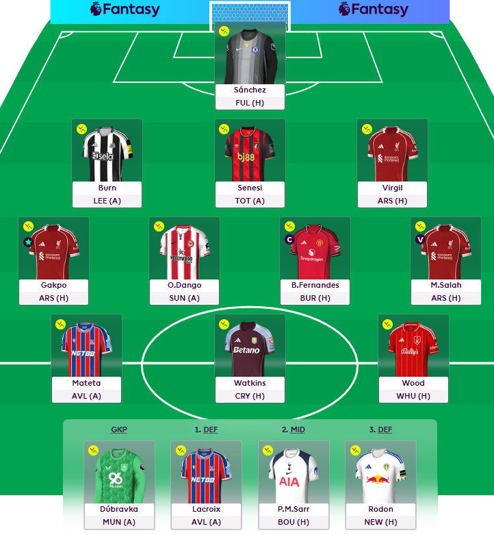 My own team

Wildcard
