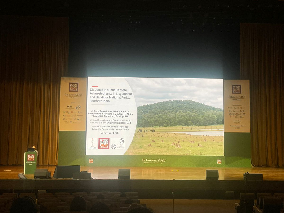 tncvidya's tweet photo. Phd students @ATHIRATK @4nkan4 and Anvitha from our lab @jncasr 
 presenting their work at @Behaviour2025
  
#elephants #KabiniElephantProject
#behaviour2025 https://t.co/H28uRqSI0U