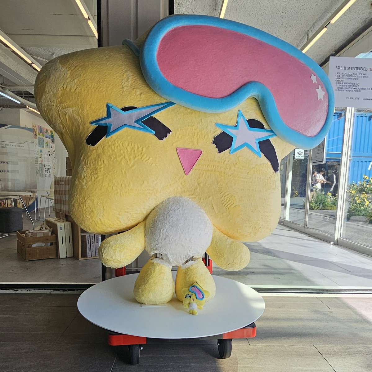 Seem like Peace B is suffering from knee problem, too. So little B is here to comfort her mommy 🥹