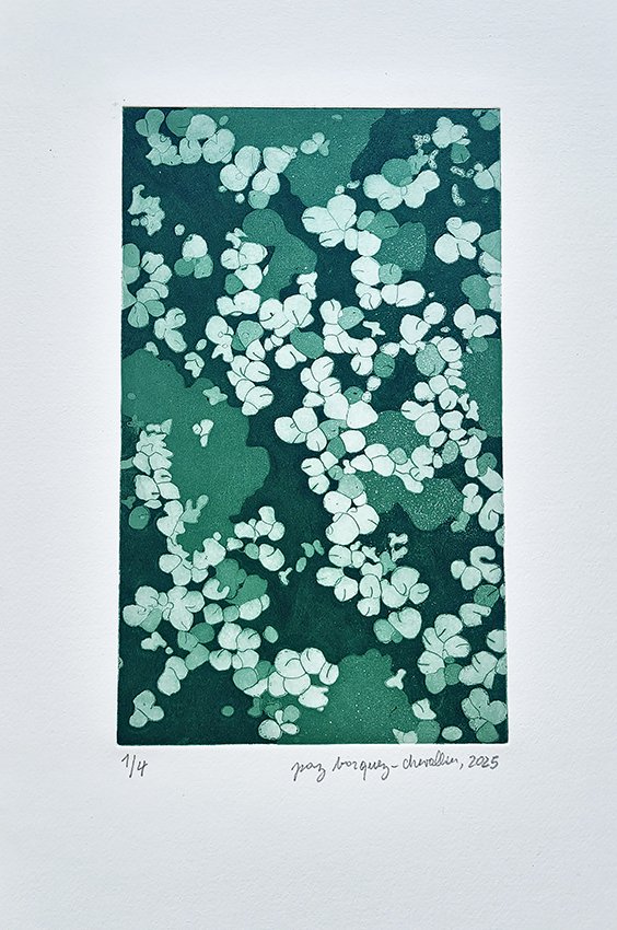 CocoChevallier's tweet photo. "Petits nénuphars du Japon", 2025
Aquatinte et pointe sèche 

#gravure #estampe  #echting #gravurecontemporaine #grabado #estampa #printmakingart #eauforte #aguafuerte #artcontemporain #art #pazborquez #pazborquezchevallier #pointesèche #aquatinte #tailledouce #pointesèche https://t.co/jdi2wFEmCp