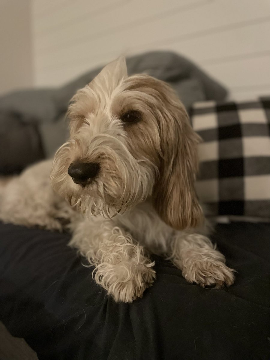 I was told I look regal here. Watcha think pals?