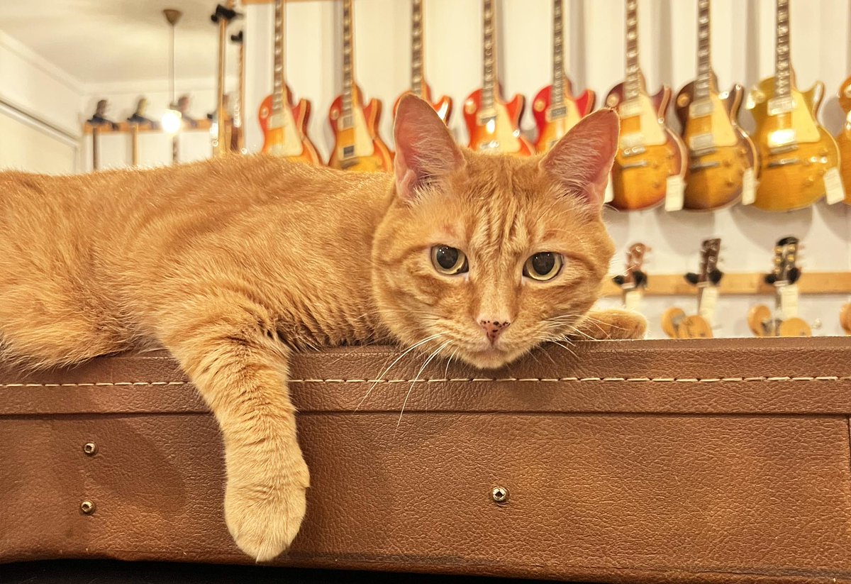 oldbridge_jp's tweet image. 9月 定休日 1、7、8、15、22、29日
※ 7日(日)はオーナーさんライブ演奏の為、臨時休業となります。

明日8月31日(日)は17時クローズとなります。
よろしくお願い致します。
oldbridge.jp