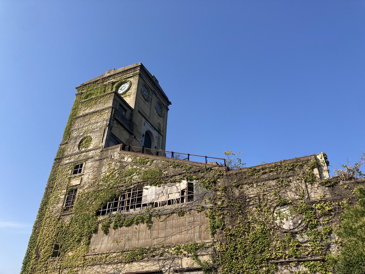 #今井新 の #関内で暮らす二人について のキーになる場所 #根岸競馬場 。
遺構として保存という話しがあるらしいが、この荒れ方ては厳しいと思われる。