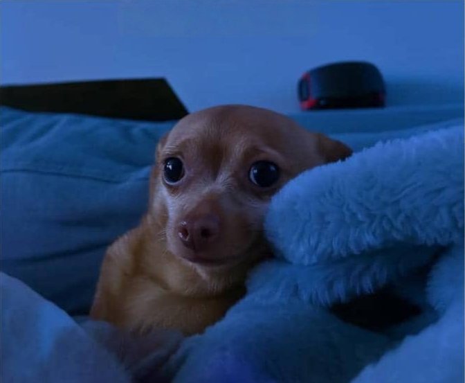 When you fall asleep on the sofa and wake up in bed,but you live alone😂😂😂