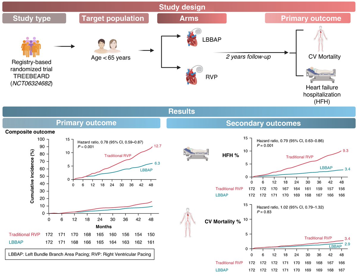 Simultaneous publication during #ESCCongress 

2-Year Outcomes of Left Bundle Branch Area Pacing Versus Traditional Right Ventricular Pacing in middle-aged Adults: A Registry-Based Trial
ow.ly/3FsQ50WOvyh

#Europace