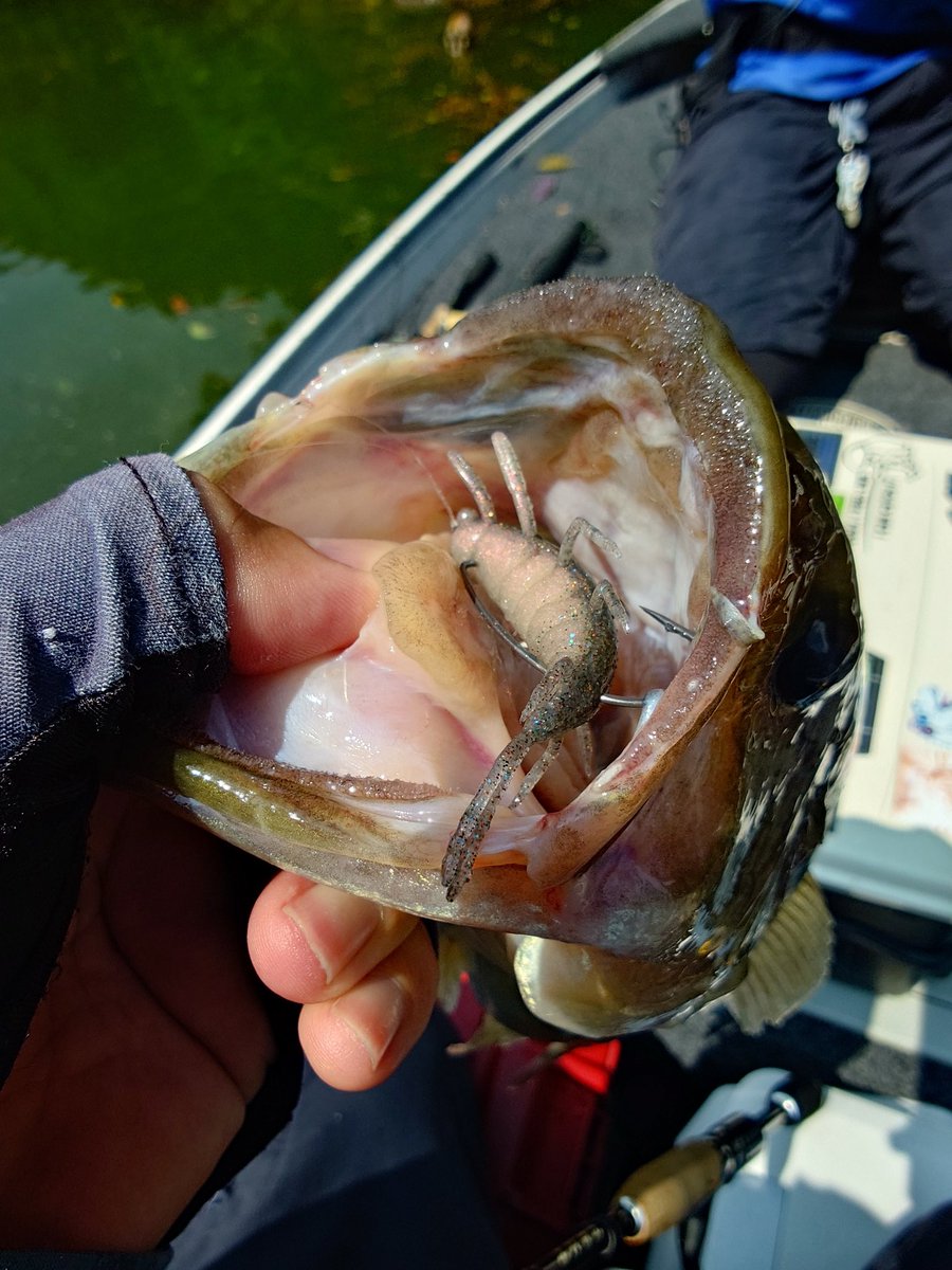 skillful【スキルフル】オカモトタクミ (@skillfullure) / X