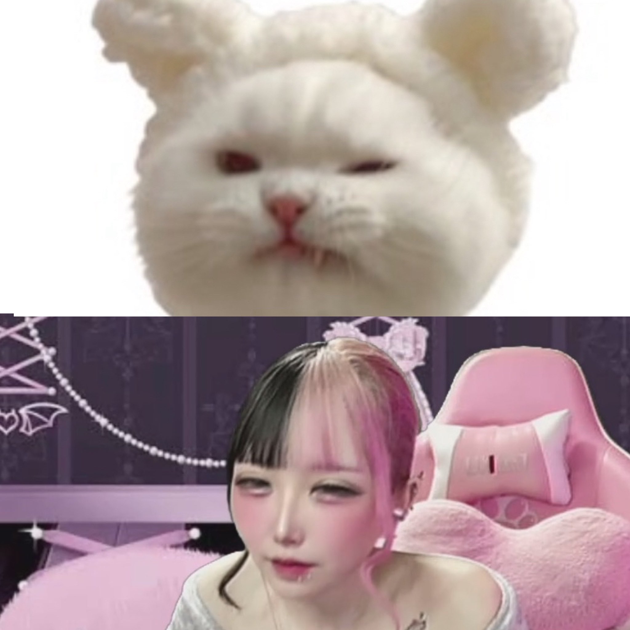 ♡ゆん♡〜プロフ必須〜コメント質問逃げ❌ ♡ゆん♡〜プロフ必須〜コメント質問逃げ❌ ゆん (@zb1_yunbin) / X