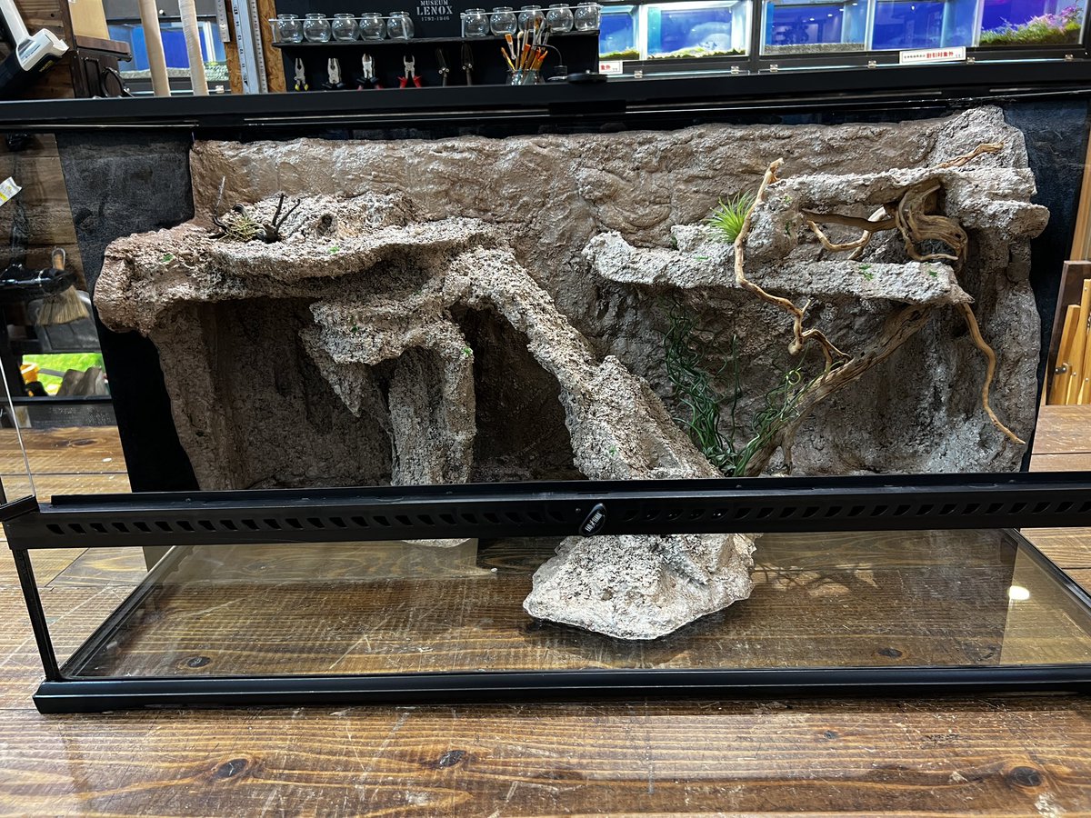 爬虫類ケージ製作販売 – търсене / X