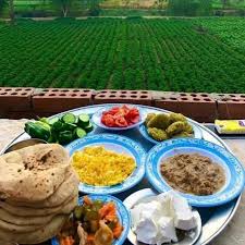 وده احلي منظر وفطار فالدنيا❤️