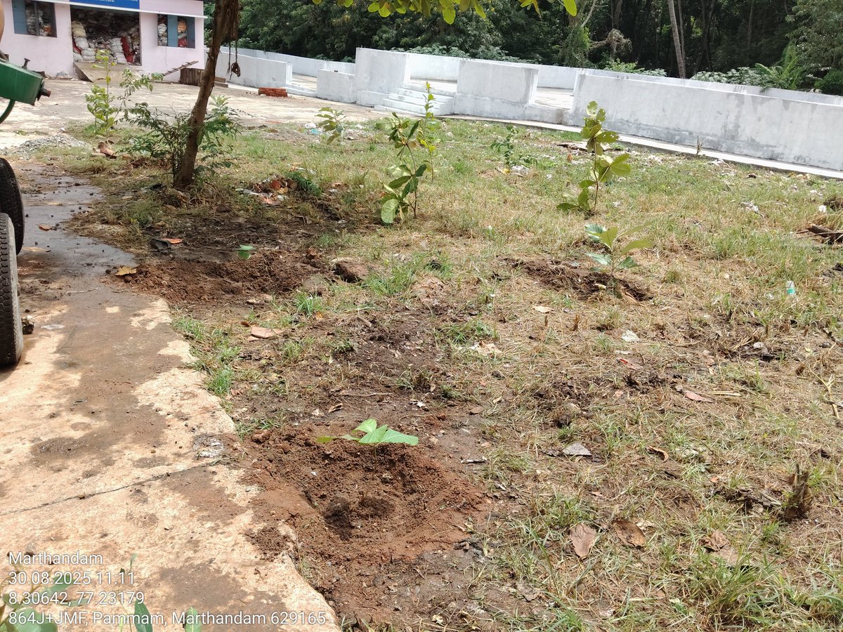 Kuzhithurai Municipality 
Urban Green &amp; Clean City Campaign - Tree Plantation in MCC,MRF,FSTP
#UrbanGreeningCampaign #GreenTNMission #CleanCityCampaign <a href="/CMOTamilnadu/">CMOTamilNadu</a>
<a href="/Chief_Secy_TN/">Chief Secretary, Govt. of Tamil Nadu</a>
<a href="/tnmaws/">TN_MAWS</a>
@MawsTamilnadu
@sbmrdmanellai