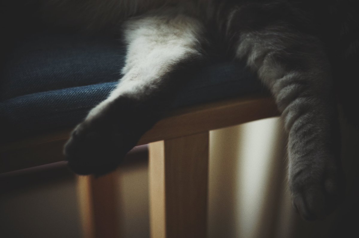 elmax_fun's tweet image. 