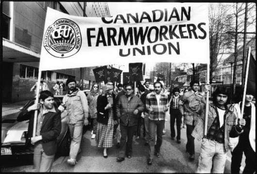rajchouhan's tweet image. From farmworkers to frontline heroes, we honour those who built BC through strength and solidarity. Let’s keep fighting for dignity, equity and justice for every worker. #LabourDay #SolidarityForever #BCPoli #BurnabyNewWestminster
