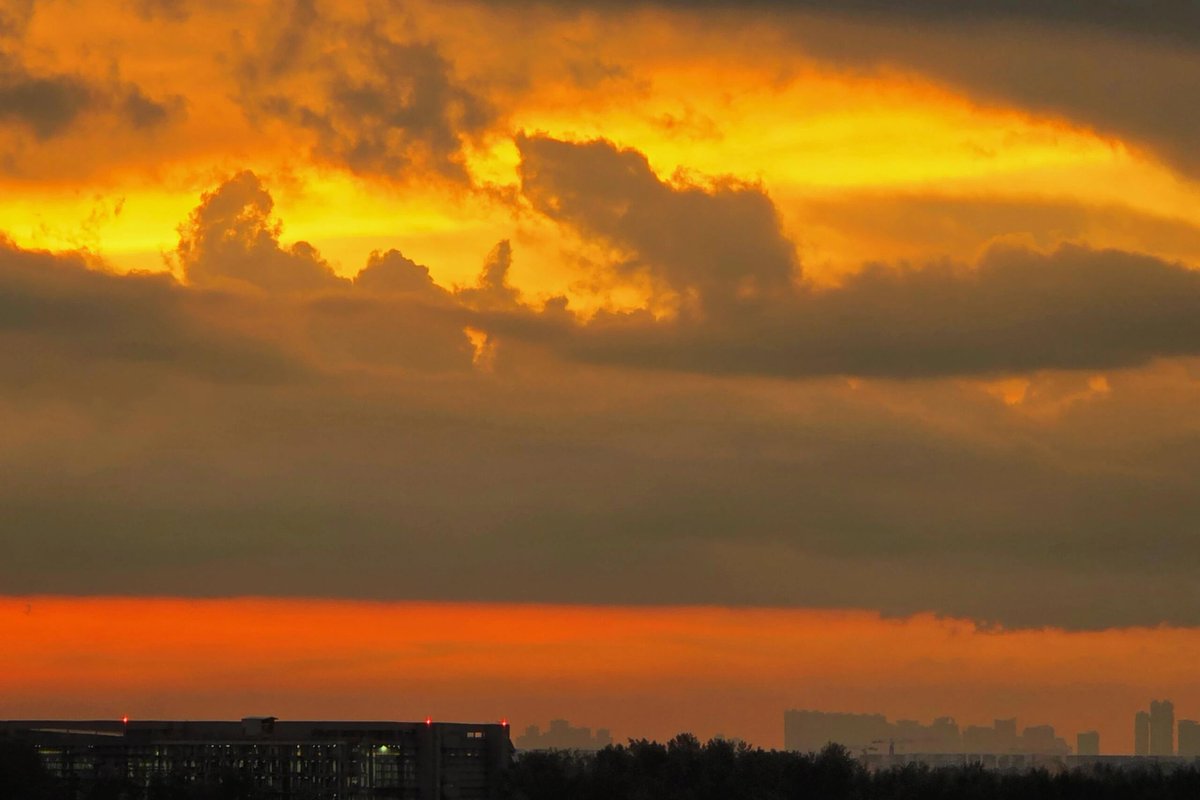 SactoDeadHorses's tweet photo. The sunset after the heavy rain is beautiful https://t.co/Vlzzc6a457