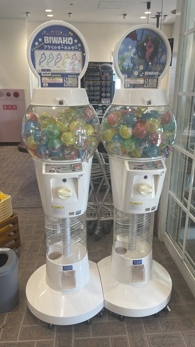 マーガレット 琵琶湖アクリルキーホルダー ５色セット BIWAKOアクリルキーホルダーガチャ あいとうマーガレット