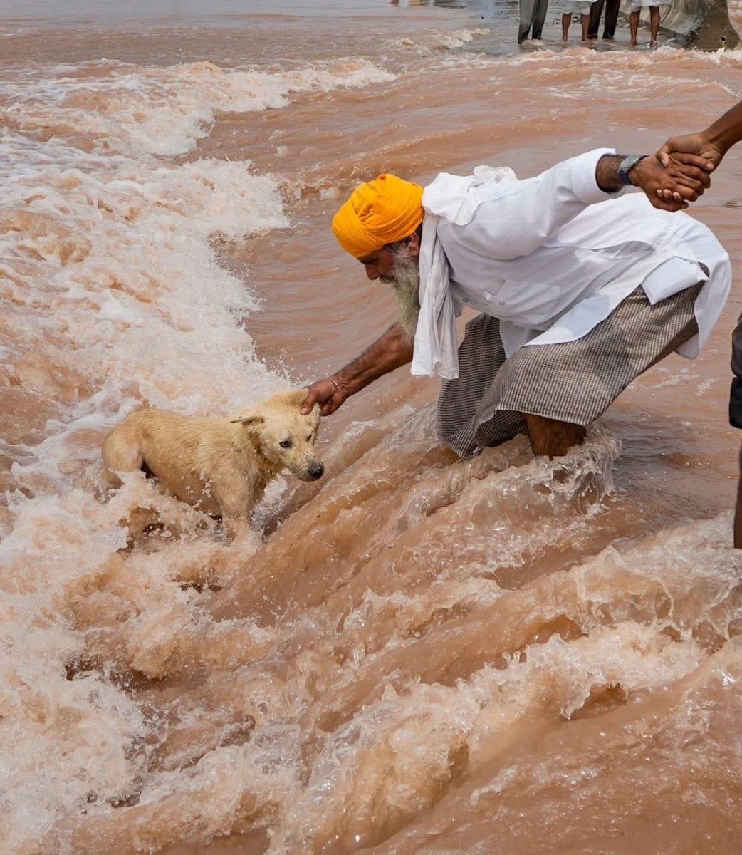 LalitKaur's tweet image. Pure heart, pure India. ❤️
True courage shines in compassion.