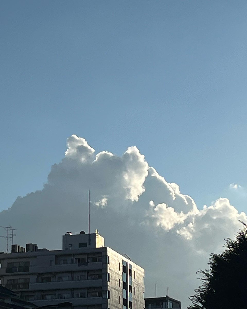 Fh_ts's tweet image. A good day