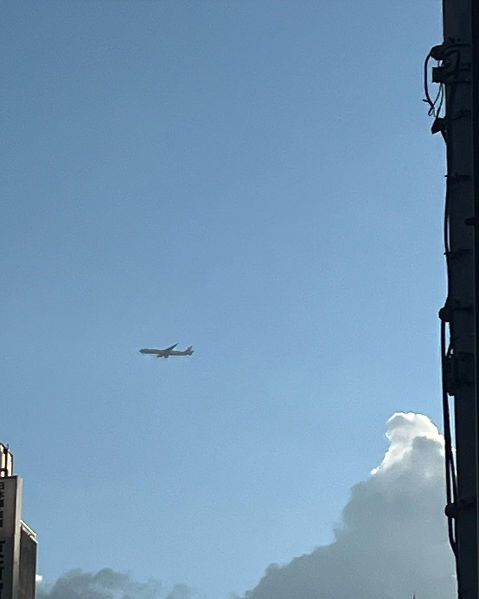 Fh_ts's tweet image. A good day