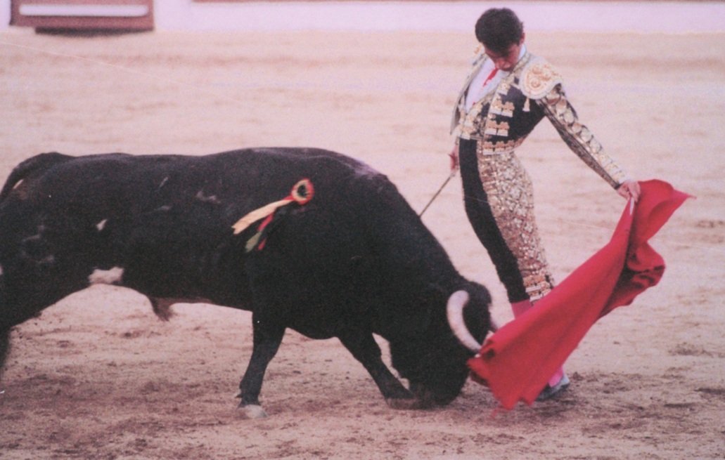 "Toreó con una relajación absoluta, desmayado, con los riñones encajados y los talones clavados en la arena"...José Cubero  "Yiyo", el Príncipe del Toreo (Colmenar Viejo, 30-08-1985). MAESTRO!!!#EternoYiyo