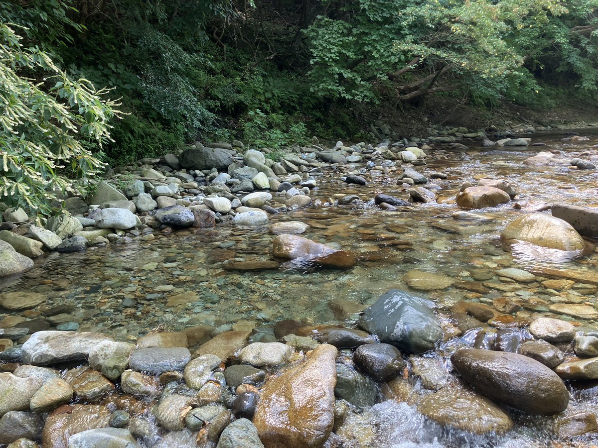 clearstreamls3's tweet photo. ゆく川の、アレ。

(うたかた〜) https://t.co/5sJEFKGO3n