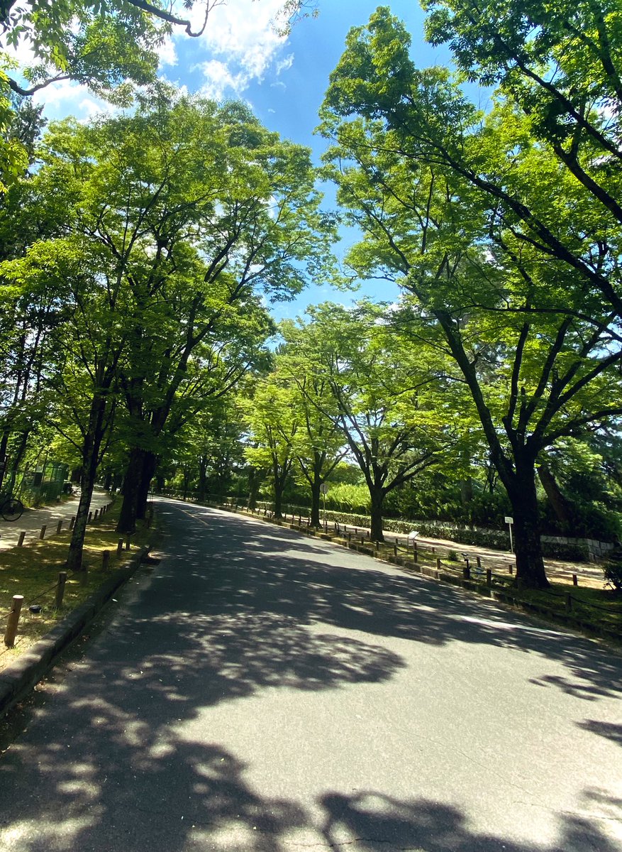 今日も一日お疲れ様でした🫡 🥂

 #風景写真
＃京都府立植物園