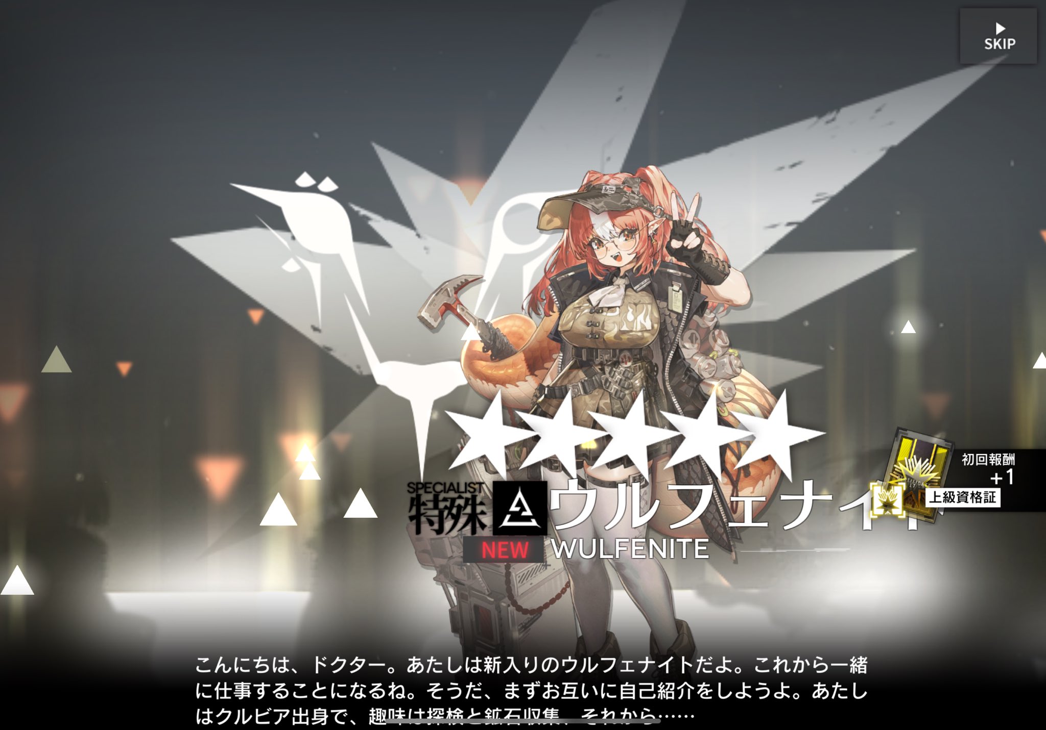 未開封　アークナイツ　コンテナ2023ver 未開封アークナイツコンテナ2023ver