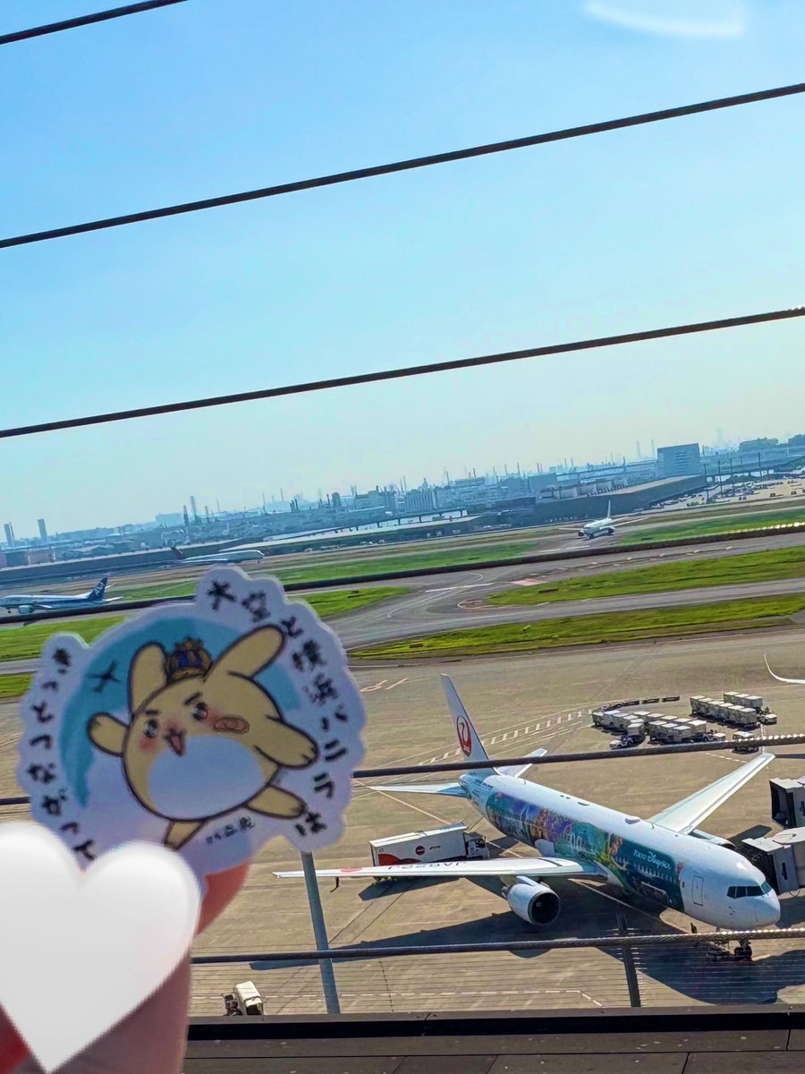 nyt818's tweet photo. つながってるバニ🐰 https://t.co/Gl4lUNNCOV