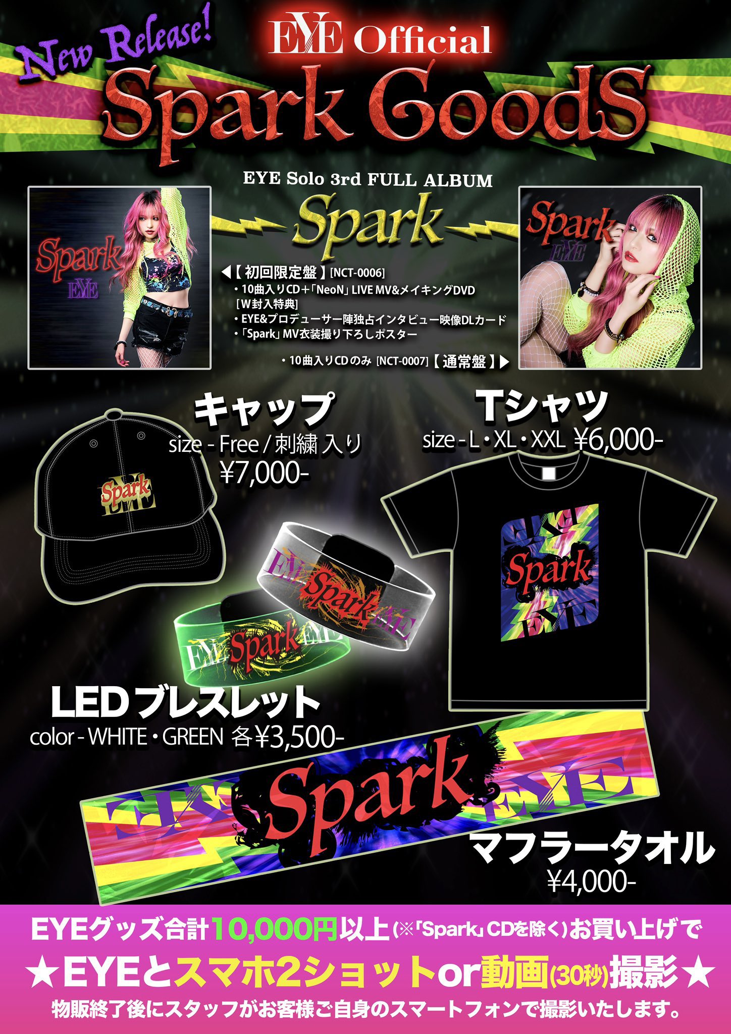 NAOKIさん限定 Kawasaki Ninja1000SX (2BL-ZXT02K) POWERBOX TWOTAIL TitanBlue