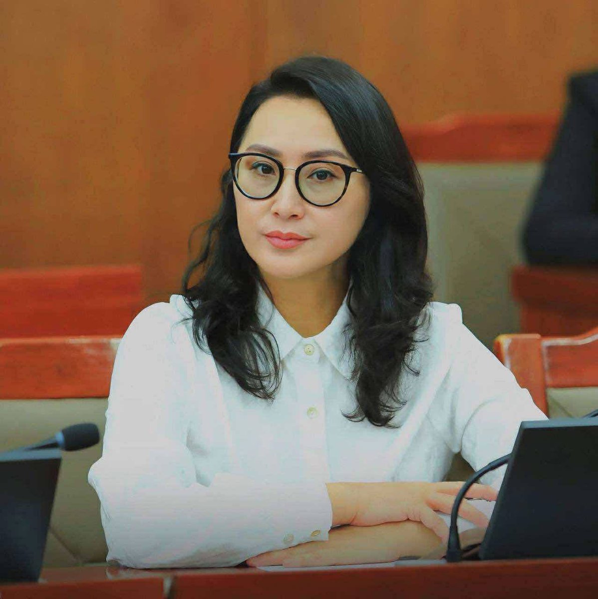 Дайчин, зоригтой, царайлаг, толиотой Баярмаа эгчдээ амжилт! Сүүлийн нэг жил ганцаараа шахуу сөрөг хүчин хийсэндээ! <a href="/bayarmaaju/">Жудагийн Баярмаа🇲🇳</a>