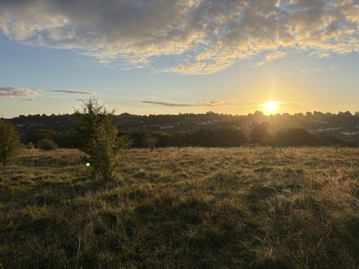 Sunrise on Farthing Downs.