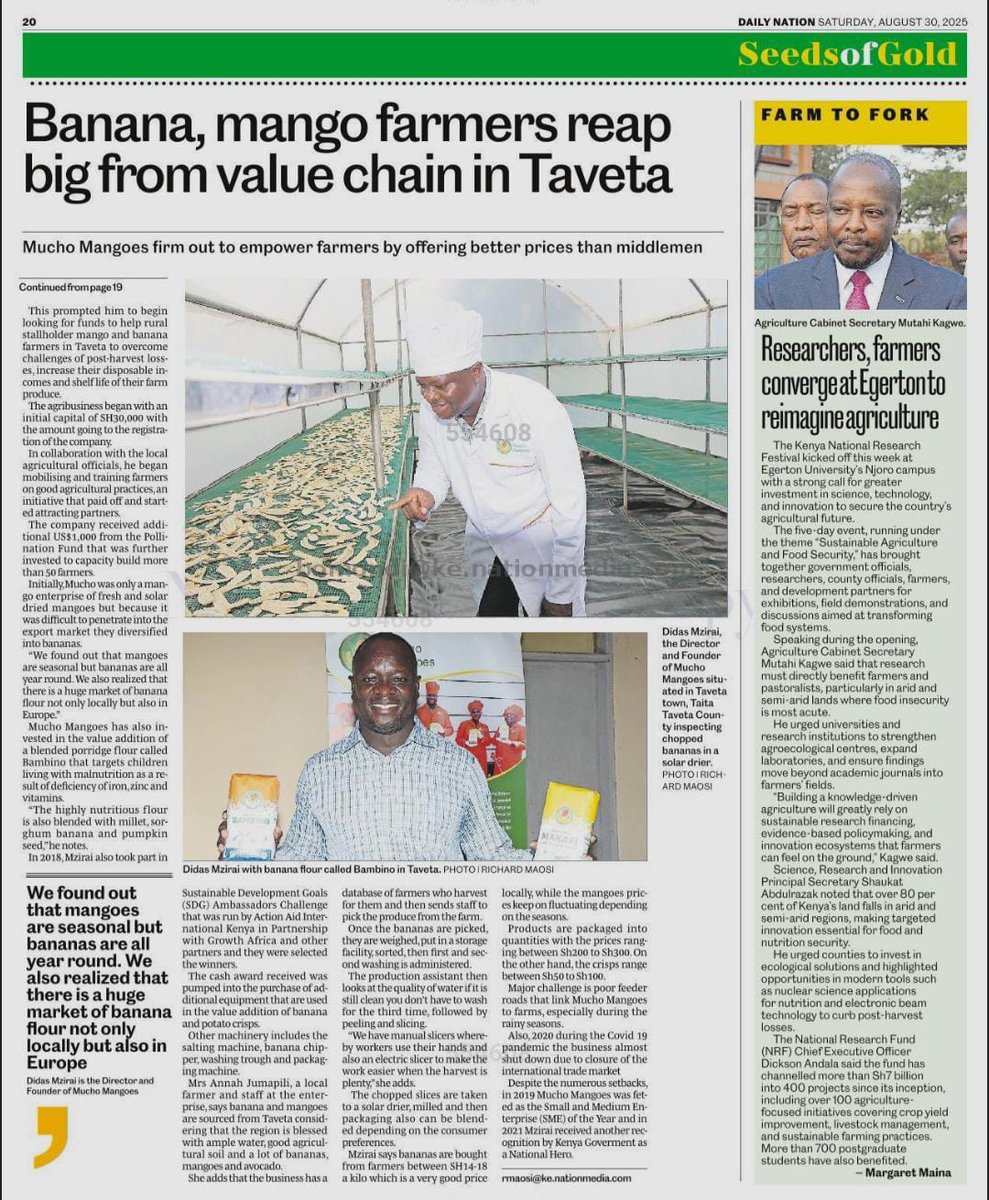 Featured today in the Daily Nation newspaper's Seeds of Gold magazine.

<a href="/MuchoMangoes/">Mucho Mangoes Ltd</a>, our farmers remain to be our greatest asset and partners!

Check it out!

Taveta rising!