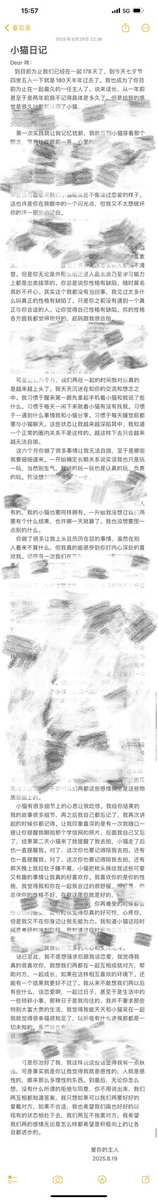 放学小猫 tweet media