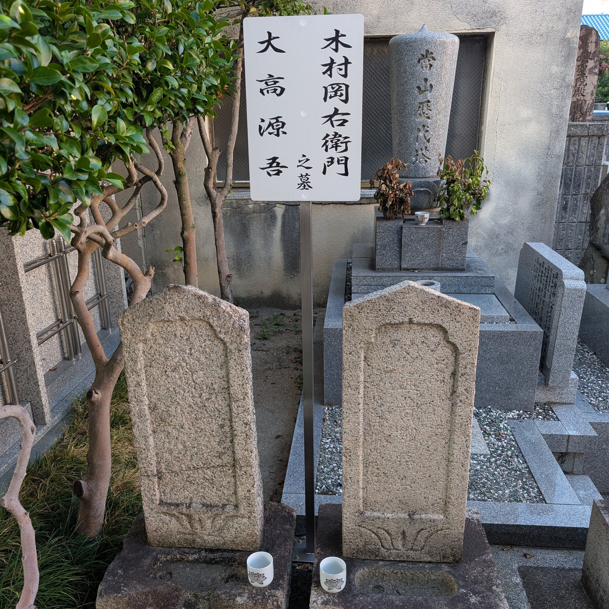 母の墓前にて OFR 望まれぬ復活 (Come Back Wrong) · Duskmourn: House of Horror