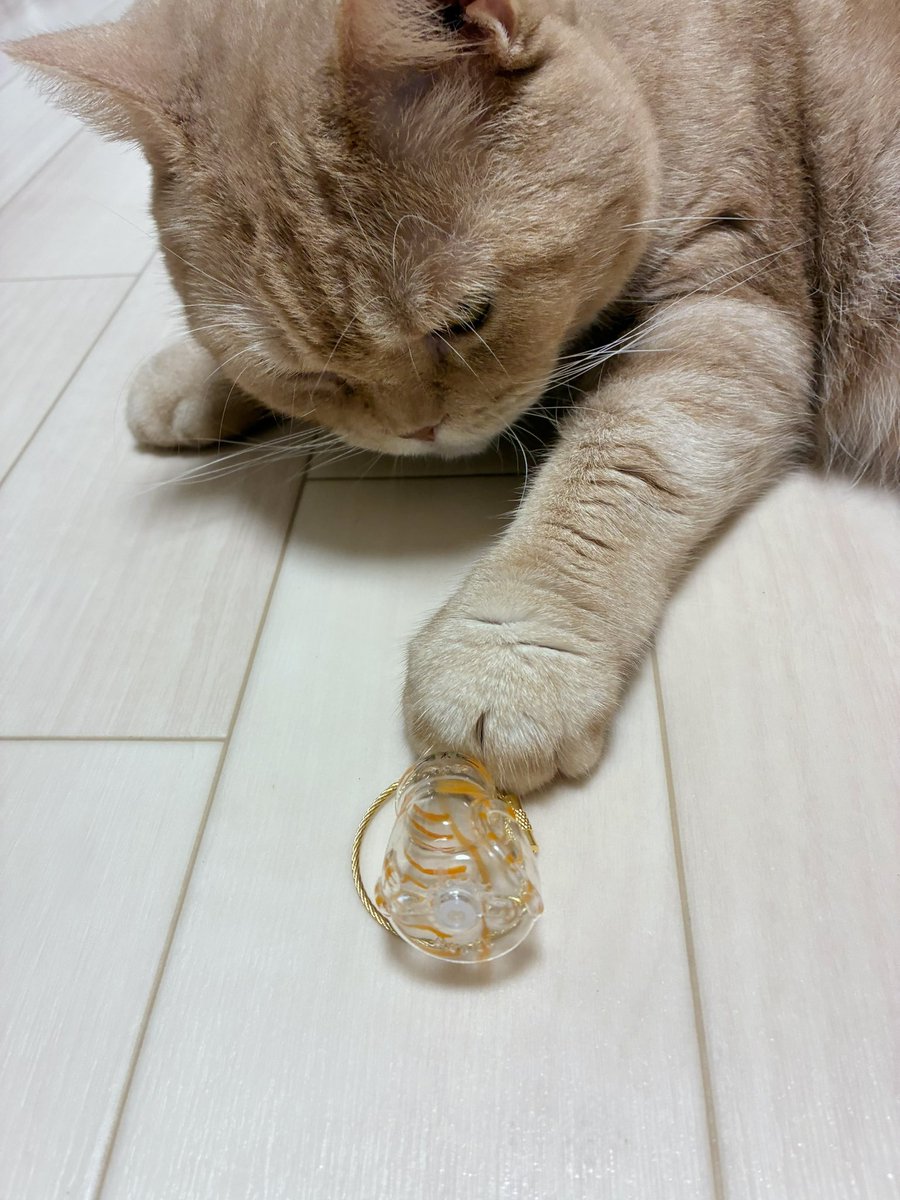 19時頃から配信開始します！
今日はリク枠だよ🛸