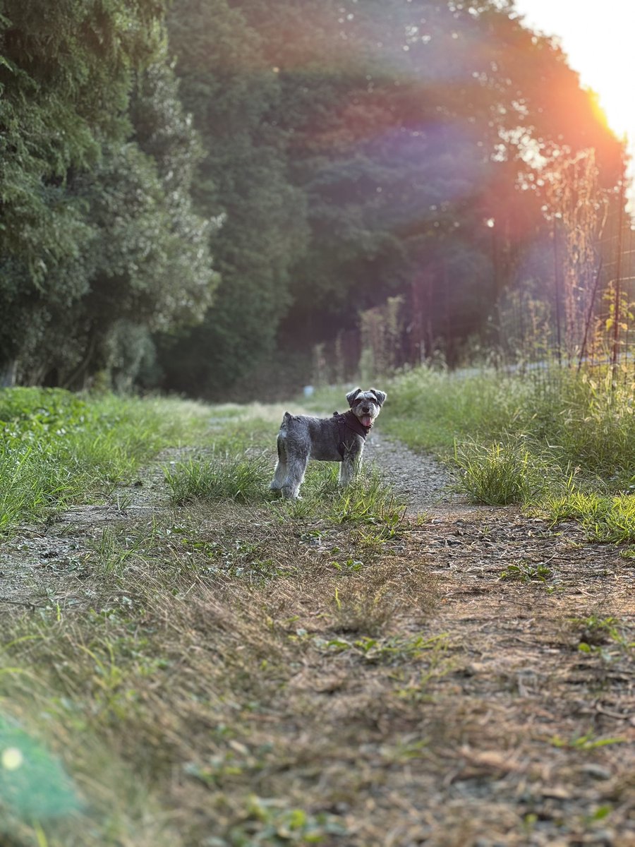 暑い、帰らせてくれへん