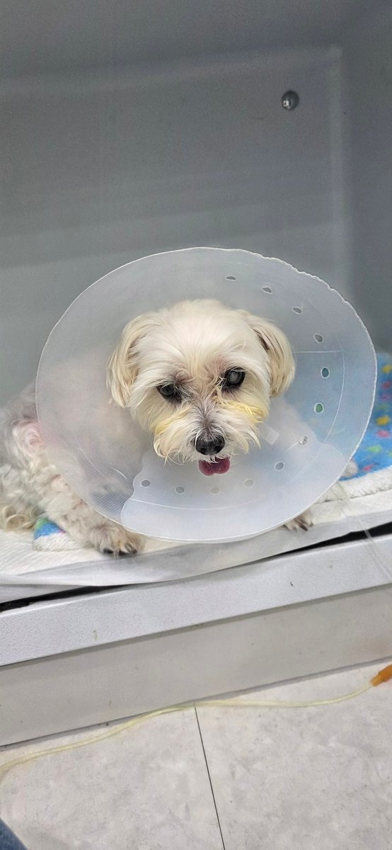 ❤집지키는마녀❤ tweet media