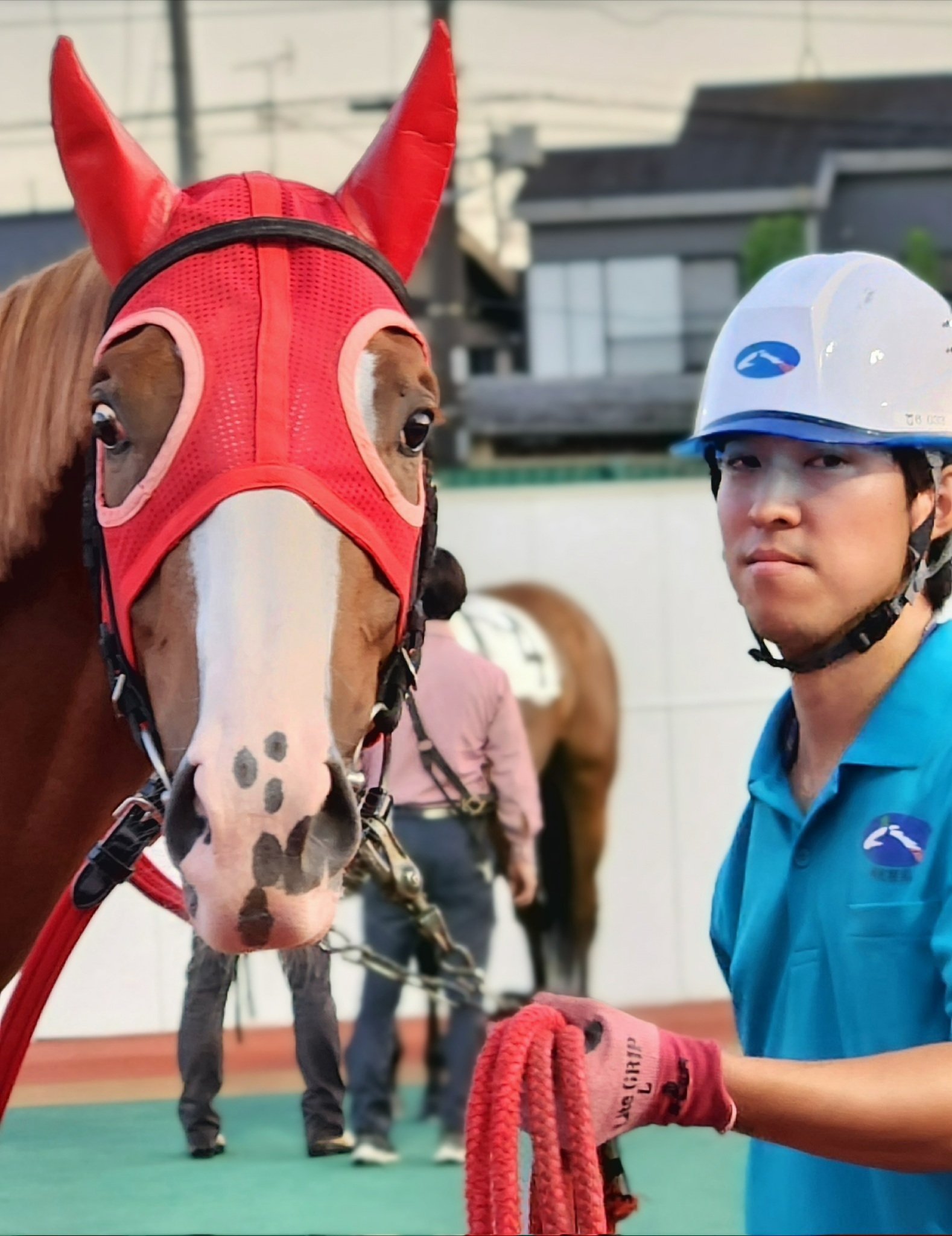 競馬200倍までをラクに当てる法 ピンポイント式でおもしろいほど獲れた 競馬200倍までをラクに当てる法 | 若月 次郎 |本 | 通販 | Amazon