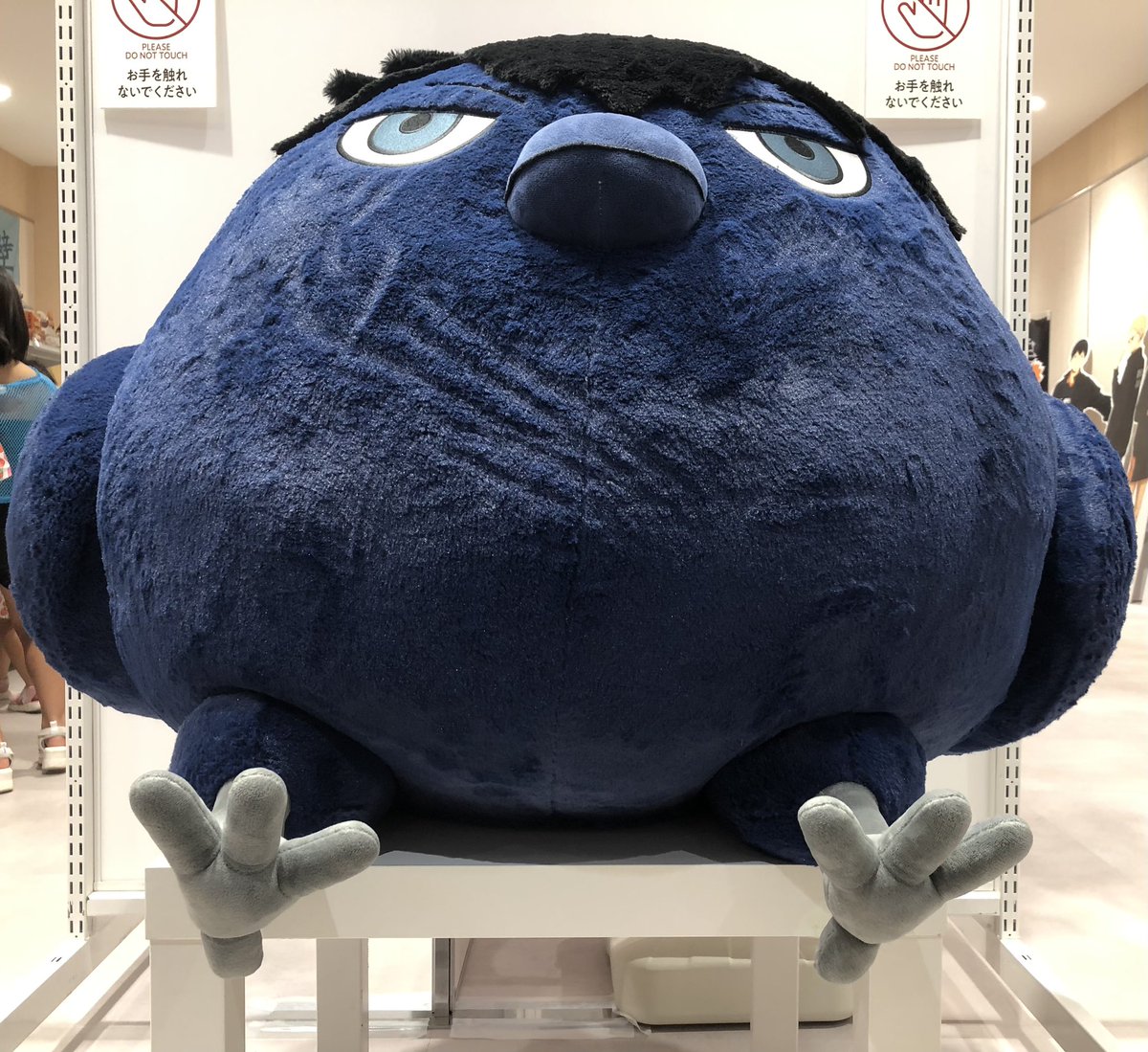 fmimiimimiimimi's tweet photo. https://t.co/dcvvUVUEoF