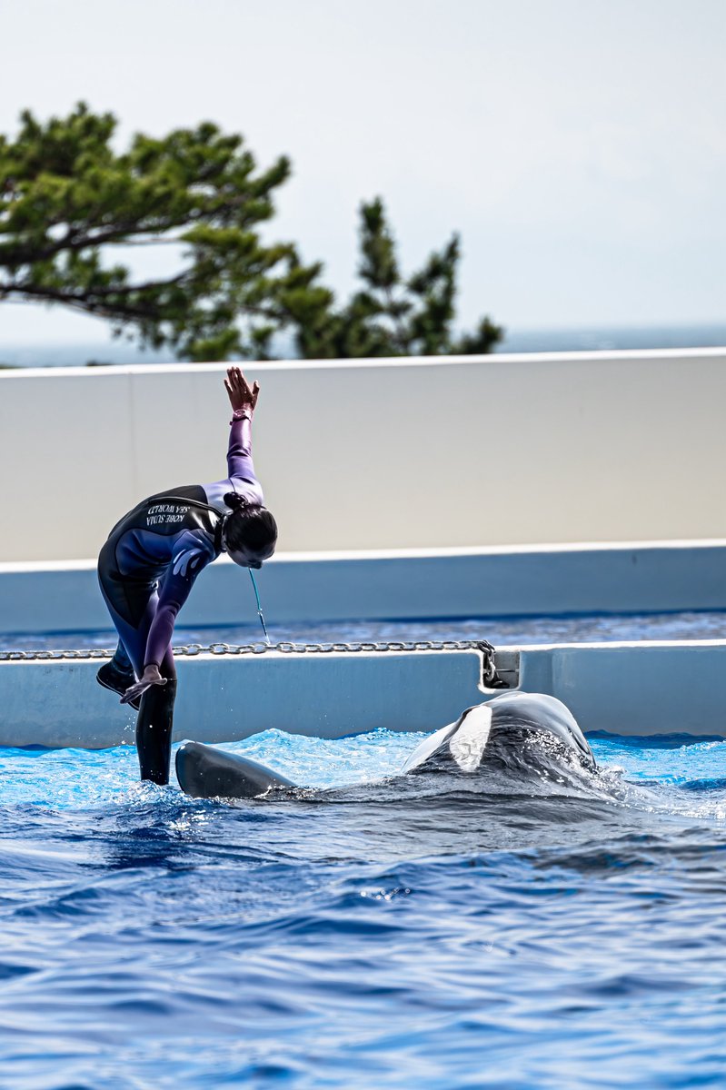 パフォーマンス中に遊んでる姿が好き