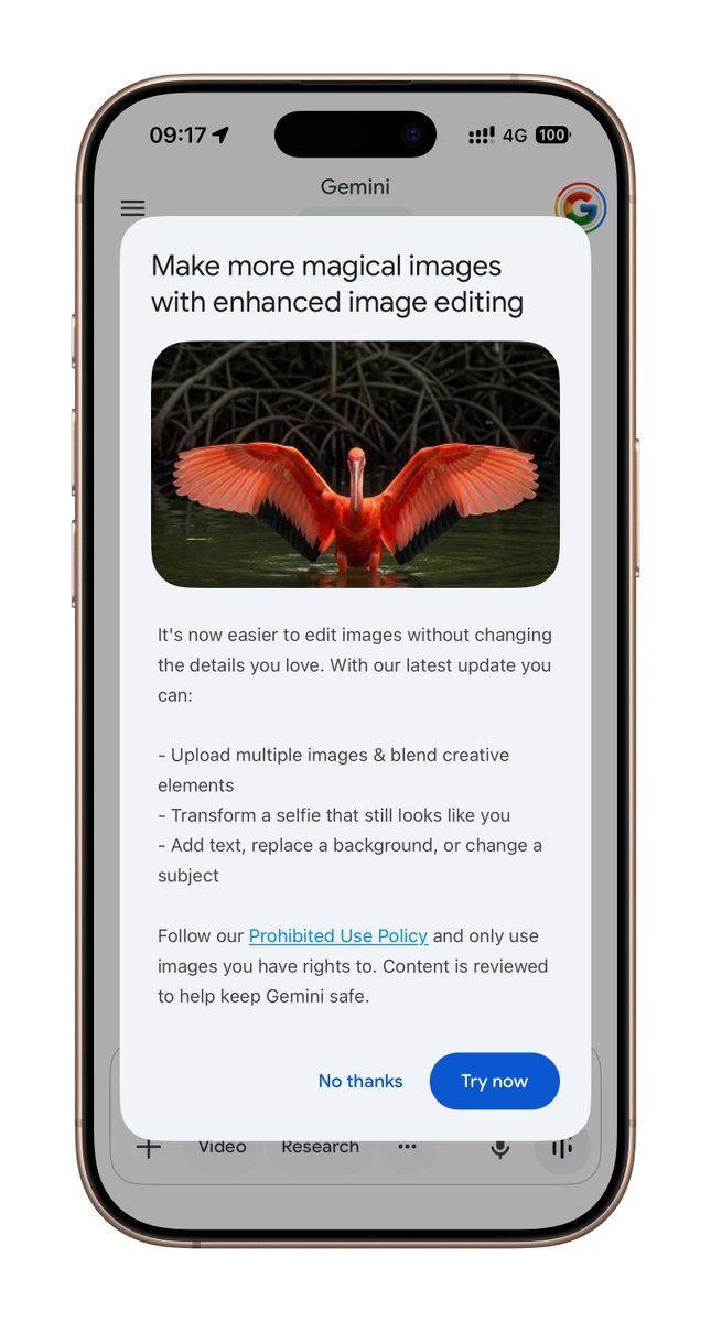 smartechdaily's tweet image. ✨رسمياً، توفرت ميزات Gemini الجديدة لتحرير الصور!
📸 الآن يمكنك إنشاء صور أكثر سحرًا بسهولة:
• دمج صور متعددة وعناصر إبداعية.
• تحويل صور السيلفي مع الحفاظ على ملامحك.
• إضافة نص، تغيير الخلفية، أو تعديل الكائنات.
#Gemini #ImageEditing