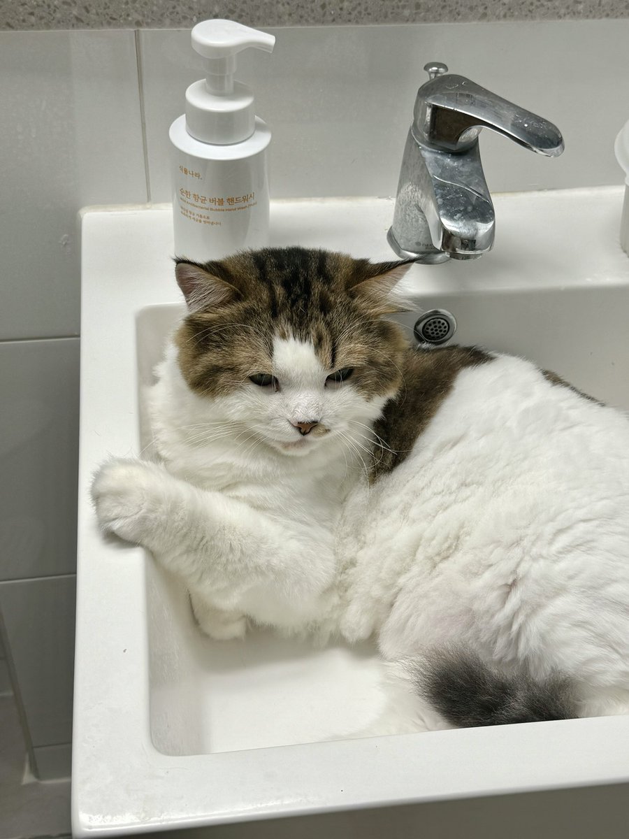 손 딴데가서 씻어