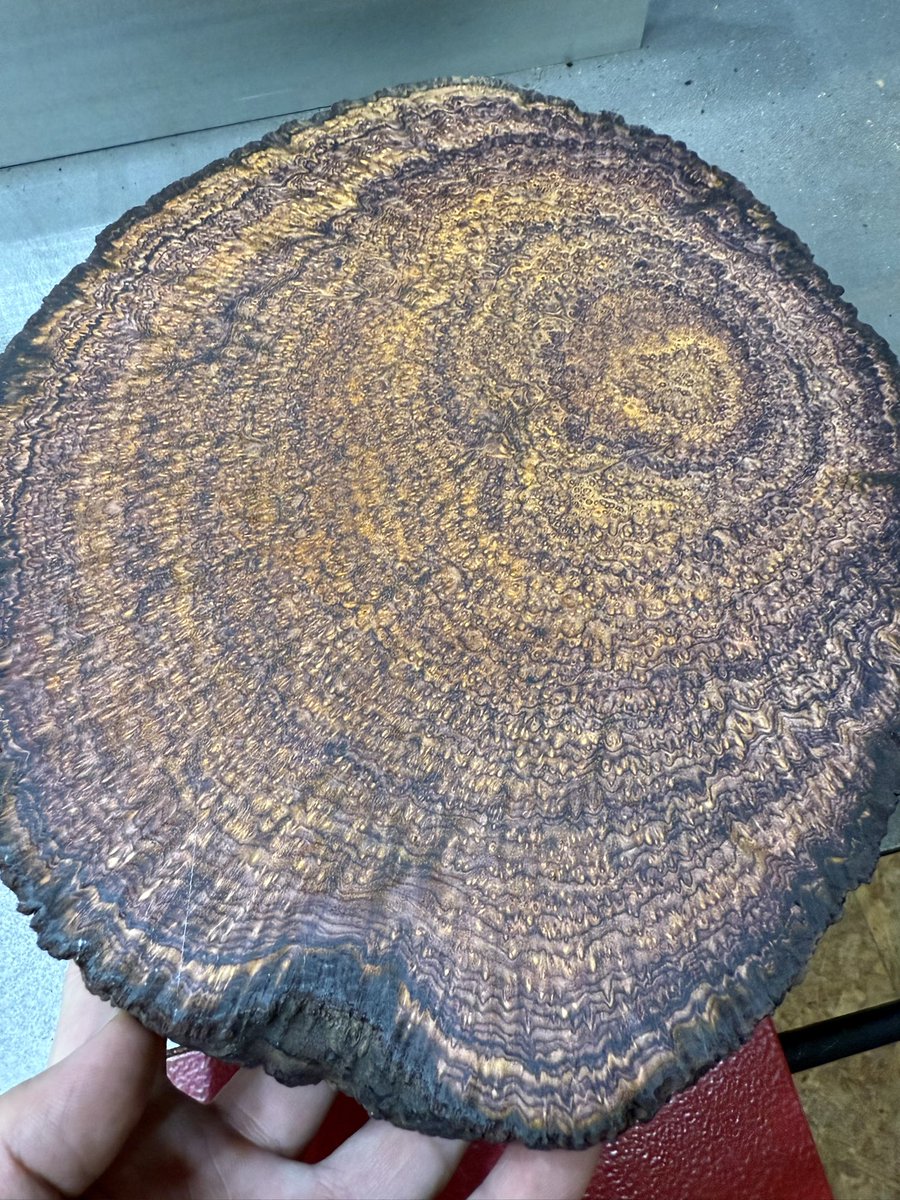 こぶた工房 on X